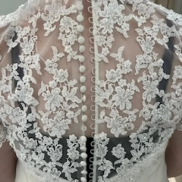 Gorgeous, plus size, off white, never worn wedding dress - Picture 4 of 9